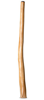 Jesse Lethbridge Didgeridoo (JL166)
